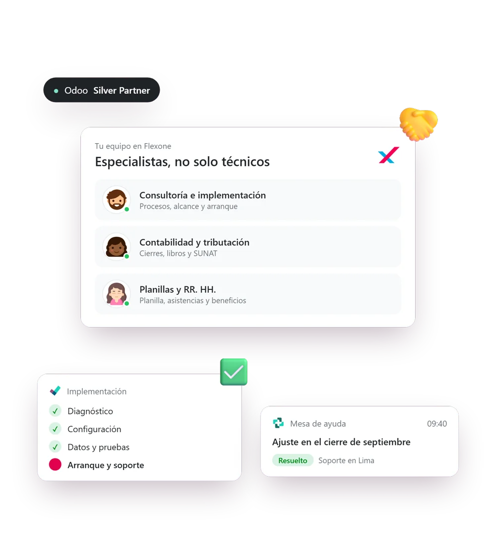 Equipo de Flexone: consultoría, contabilidad y planillas, implementación y mesa de ayuda
