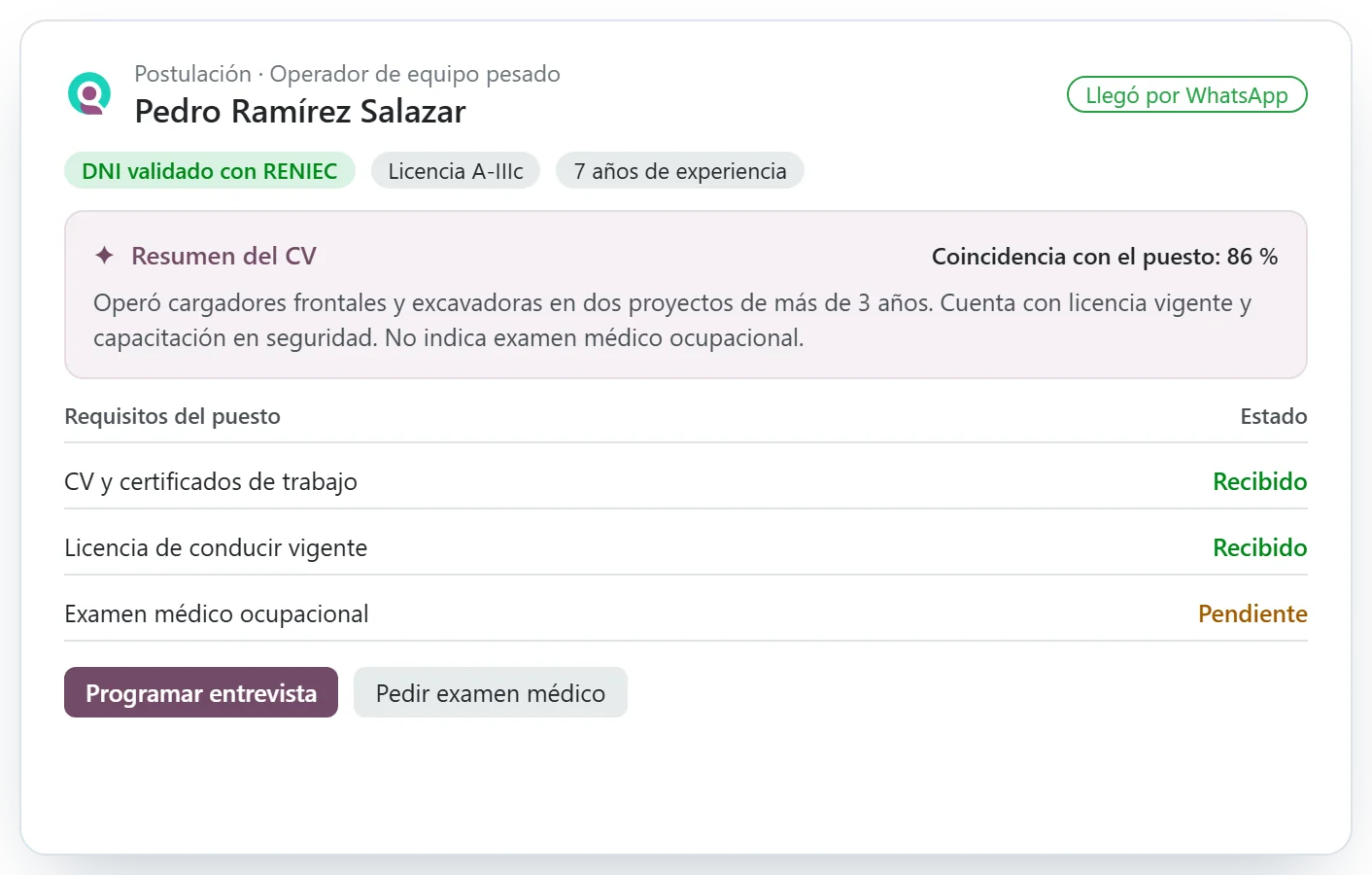Postulante en Odoo con resumen del CV hecho por IA y requisitos del puesto